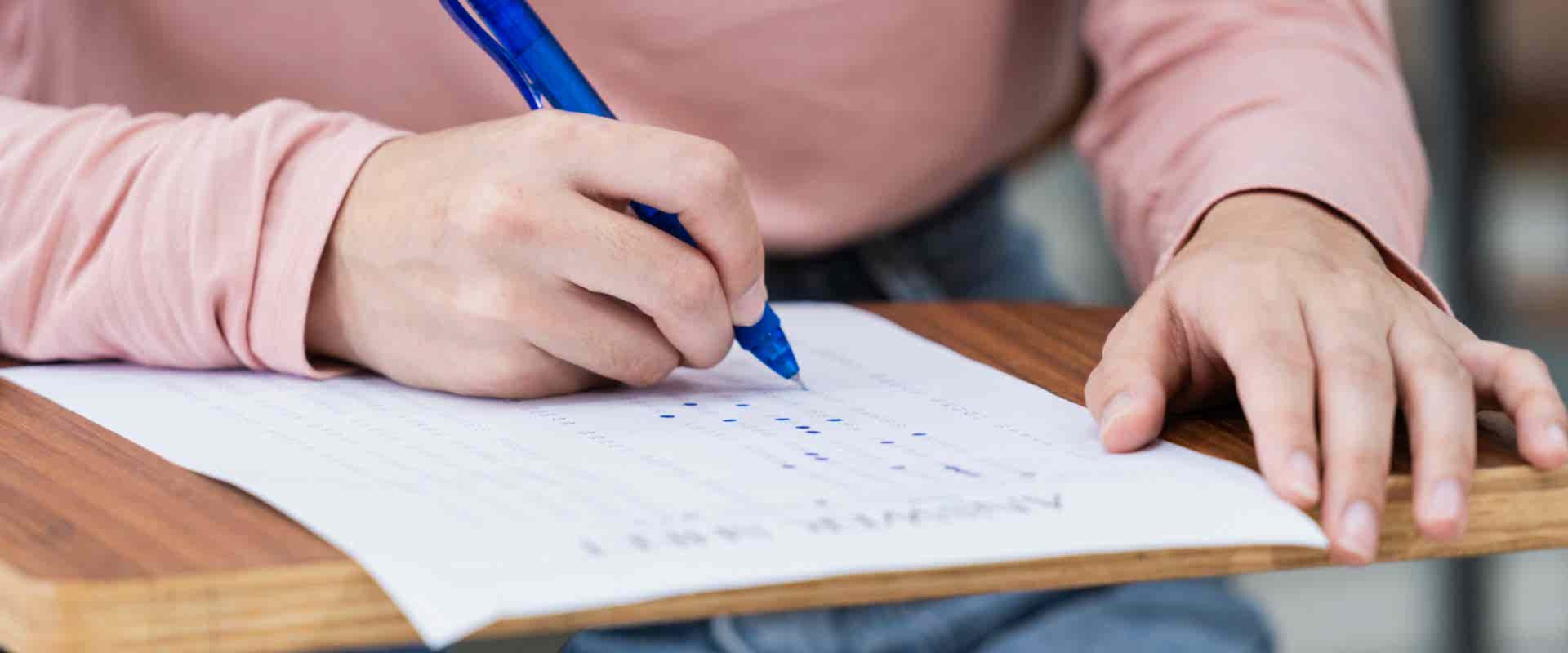 Yabancı Dil Bilgisi Seviye Tespit Sınavı